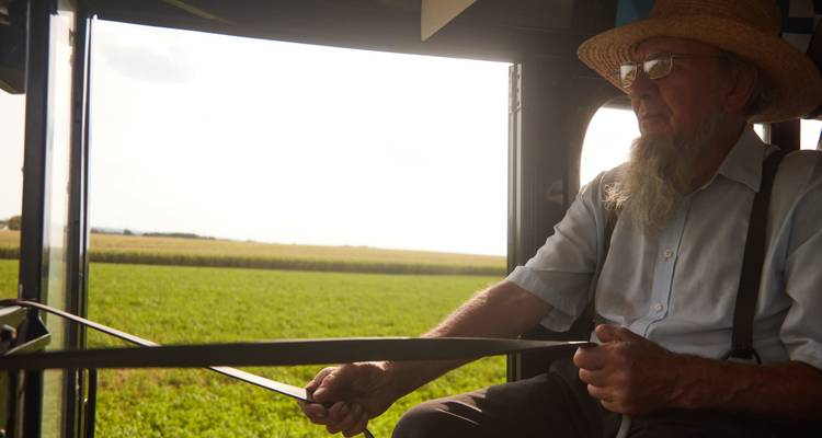 Vieil homme conduisant une calèche à travers un champ.