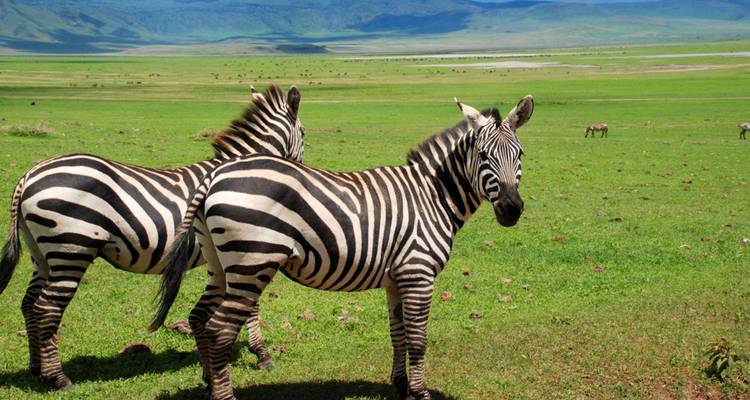 Grand Africa: Cairo to Cape Town - Peregrine Adventures
