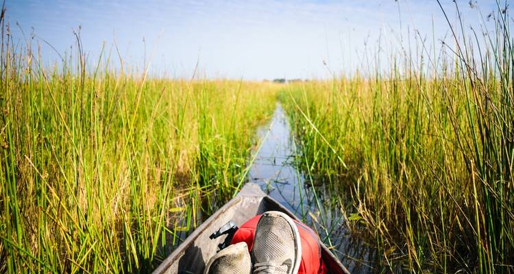 Un canoë avec un sac et des chaussures rouges, naviguant à travers les hautes herbes sur l'eau.