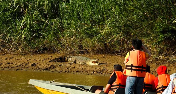 Des gens dans un bateau observant un crocodile sur la berge