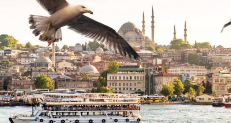 Eastern Explore - Topdeck