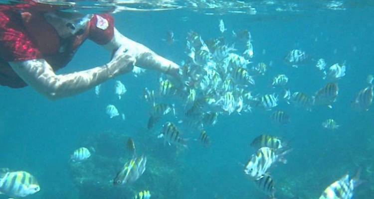 Puerto Rico & Punta Cana Air-Expedition 7D/6N (from San Juan) - Bamba Experience