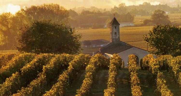 Bordeaux, Vineyards & Châteaux (Bordeaux to Bordeaux, 2018) - Uniworld Boutique River Cruise Collection