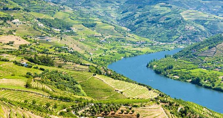Portugal Real Food Adventure, featuring Galicia - Intrepid Travel