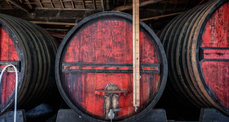 Grands tonneaux en bois utilisés pour le stockage du vin dans une cave.