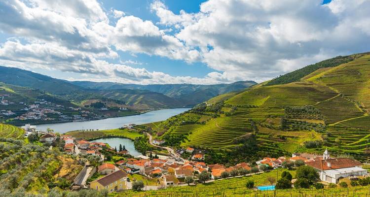 Vue panoramique d'une rivière qui coule à travers des vignobles en terrasses.
