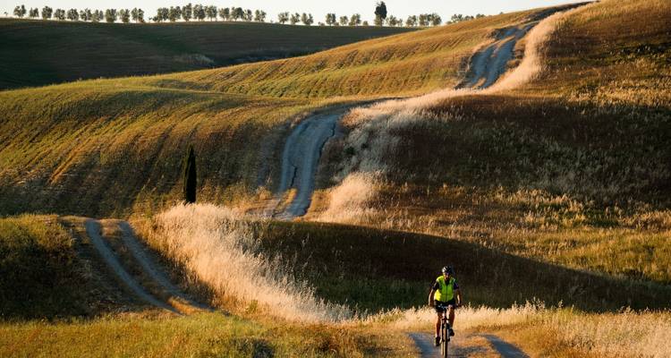 Een fietser rijdt over een kronkelend zandpad door gouden Toscaanse heuvels verlicht door het late middagzonlicht.