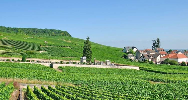 French Canals: The Great War, Cruise on the Marne Canal from Epernay to Paris - CroisiEurope River Cruises