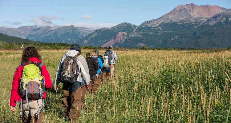 Hikers wearing waders trek in single file through grassy marshland with mountain backdrop