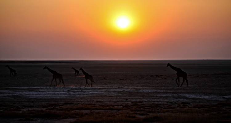Wonders of Namibia National Geographic Journeys - G Adventures