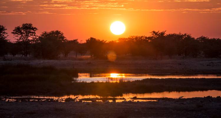 Fiery orange sun sets over woodland waterhole reflecting warm light in Etosha.