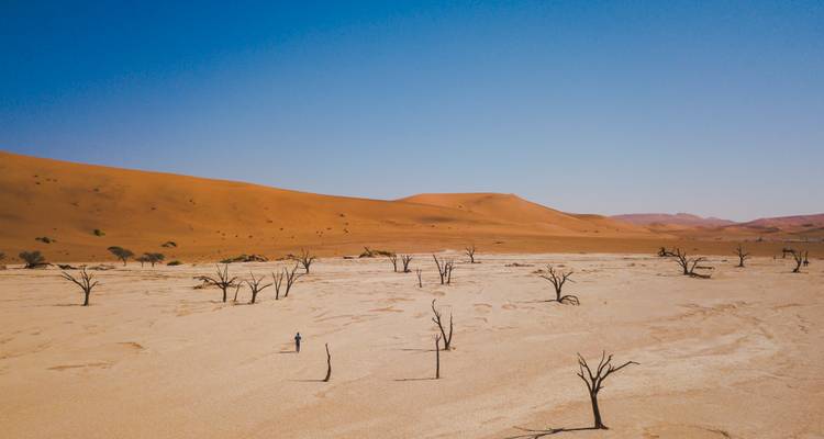 Vista aérea de la sartén de arcilla blanca de Deadvlei con árboles muertos dispersos empequeñecidos por las enormes dunas rojas.
