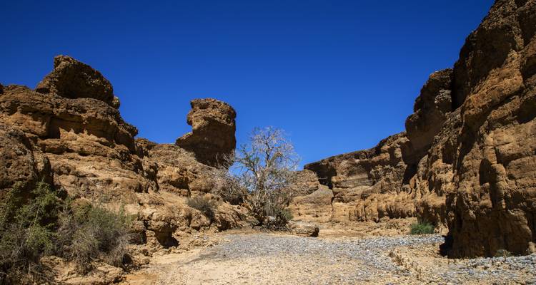 Paisaje de cañón con un lecho de río seco.