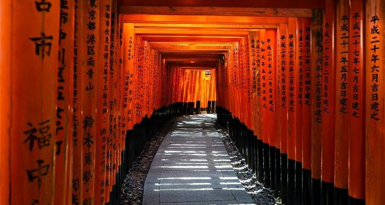 Endlose Reihe von karminroten Torii-Toren, die einen gewundenen Pfad im Fushimi-Inari-Schrein bilden