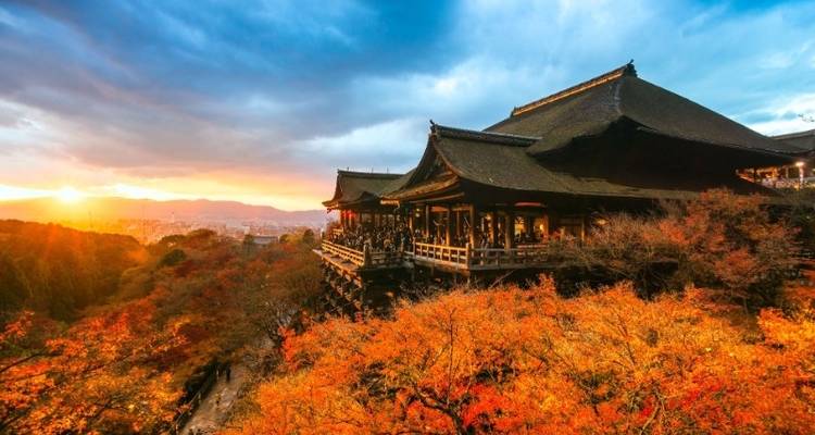Japan Explorer - Bamba Experience