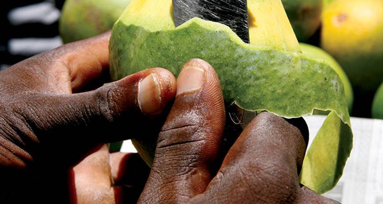 Zanzibar Spice Islands Sailing Adventure - Intrepid Travel
