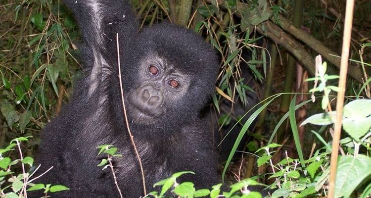 Ultimate African Overlander Accommodated - Acacia Adventure Holidays