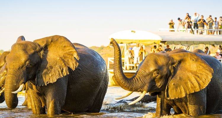 Southern Africa: travel to the ends of the earth (8 destinations) - CroisiEurope River Cruises