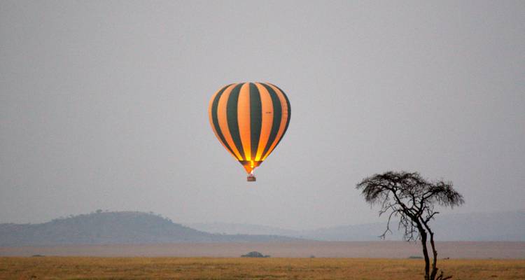 The Ultimate Birds & Beasts Safari (Camping) - Viva Africa Tours