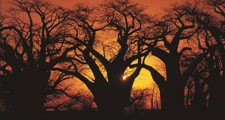 South West Safari 25 days Accommodated - Acacia Adventure Holidays