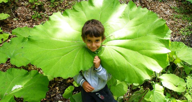 MACEDONIAN FAMILY ADVENTURE - Macedonia Travel