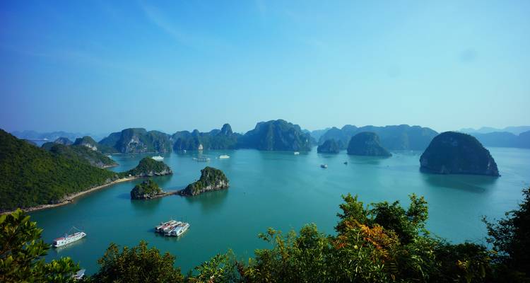 Vue panoramique des karsts calcaires de la baie d'Halong depuis un point de vue élevé.