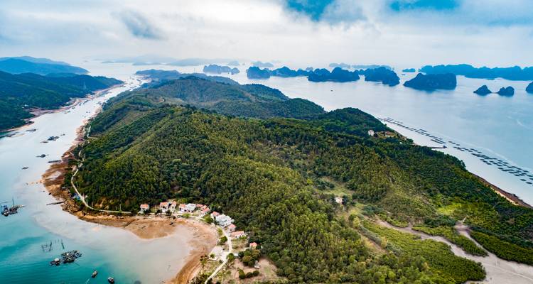 Vue aérienne d'un littoral avec des forêts luxuriantes et des eaux bleues cristallines.
