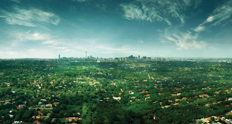 Johannesburg City Stay 3 Days - Acacia Adventure Holidays