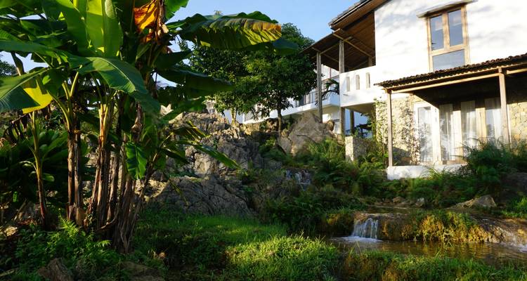 Vista exterior de un hotel con plantas y alrededores rocosos.