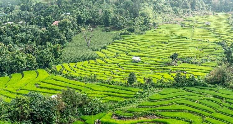 Thailand Adventure - Busabout