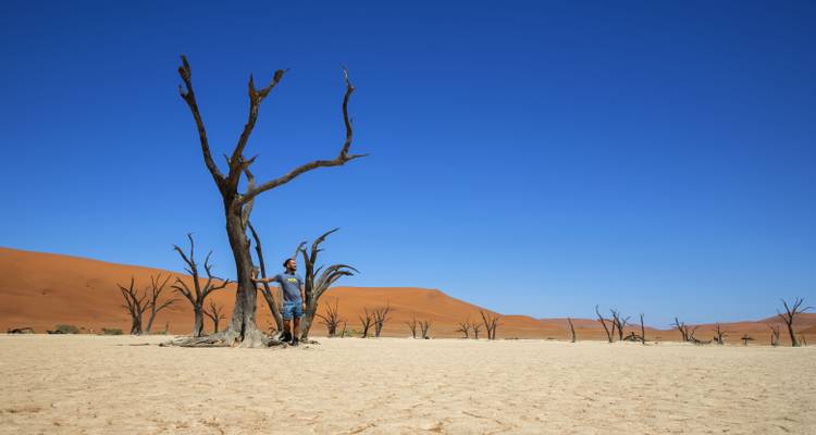 7 day South Tour Accommodated - Wild Dog Safaris