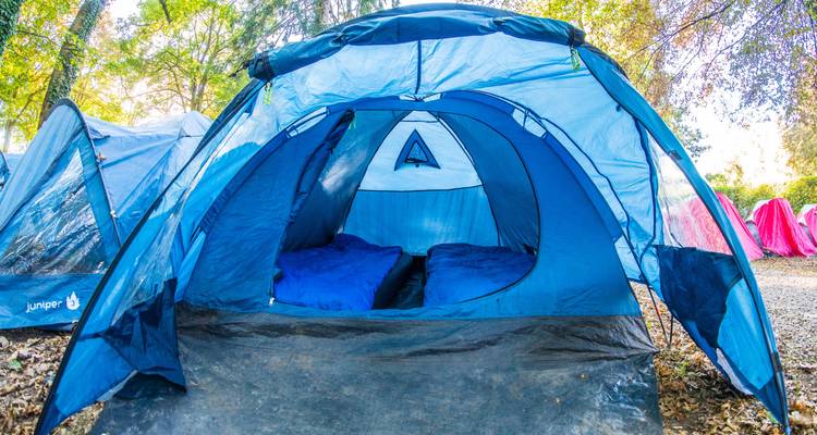 Una tienda de campaña azul instalada en un camping boscoso.