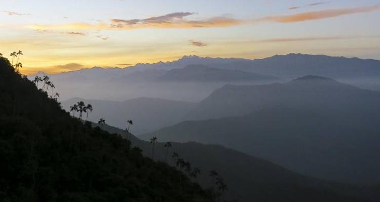 Malawi Marathon- Lion Camp - Impact Marathon Series