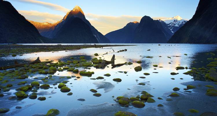 The Big Tiki (Christchurch To Auckland Winter - Until Sep 2018) - Contiki