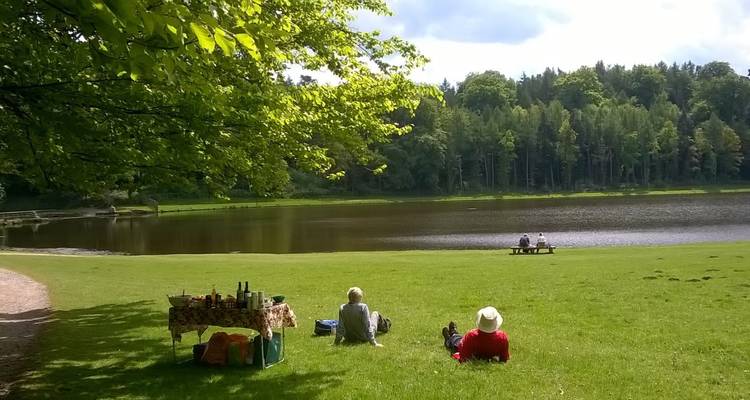 Des gens se détendant au bord d'un lac avec une forêt en arrière-plan