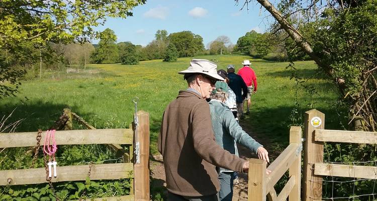 Grupo de personas caminando a través de una puerta de campo en un paisaje herboso.