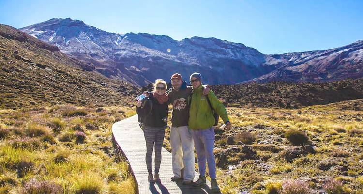 Stray NZ - Everywhere Pass (National) - Stray Travel