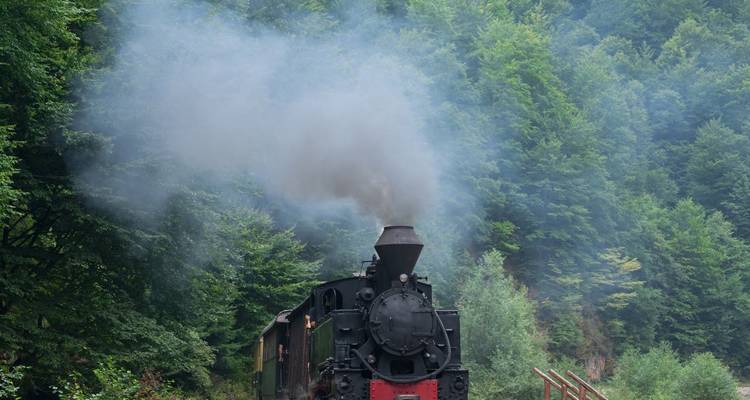 Locomotive à vapeur traversant une zone forestière.