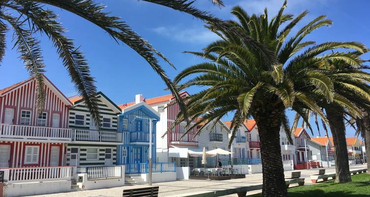 Maisons de plage colorées avec des palmiers.