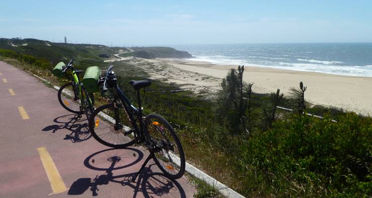Vélos garés le long d'une côte avec des dunes de sable et vue sur la mer.