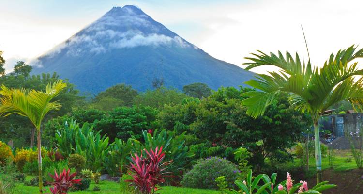 Volcan avec jungle verdoyante et plantes colorées au premier plan.