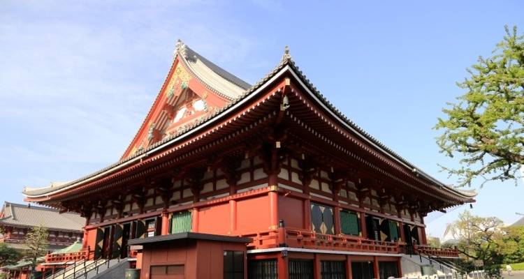Tokyo Welcome Package 3D/2N - Bamba Experience