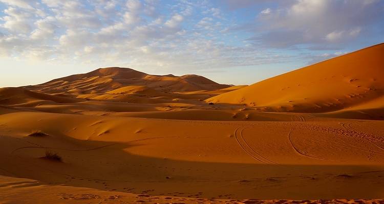 8 Day Desert Immersion - Morocco Immersion Tours & Adventures