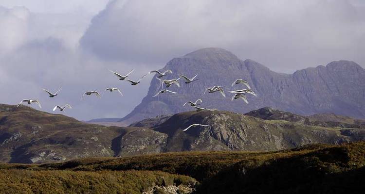 Photography - Assynt & Coigach - Wilderness Scotland