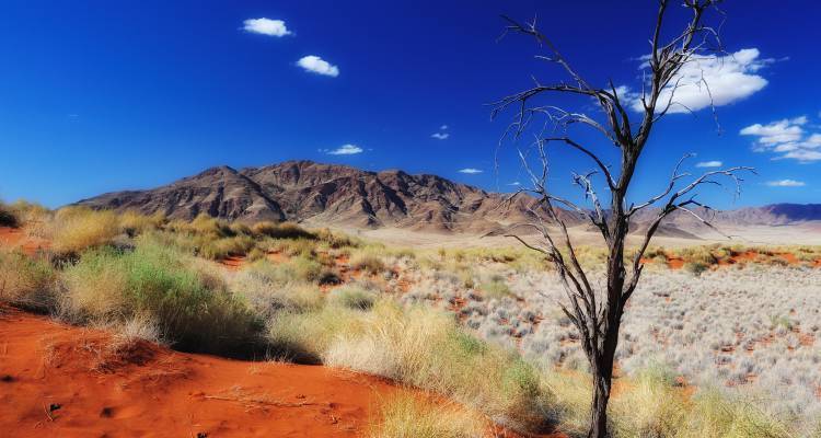 Delta & Desert Discovery - 17 days - On The Go Tours