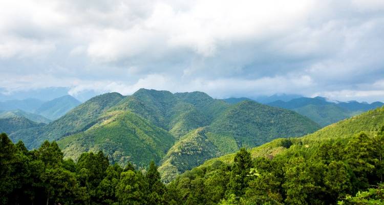 Kumano Kodo Trail Self-Guided Trek 4D/3N - Bamba Experience