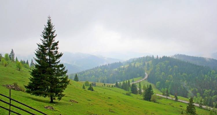 Bukovina - Cycling the painted monasteries - TransyBike