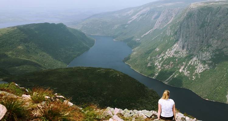 The Screech (20 destinations) - Moose Eastern Canada