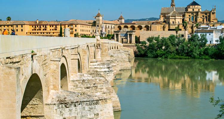 Pont historique en pierre au-dessus d'une rivière avec un paysage urbain en toile de fond.