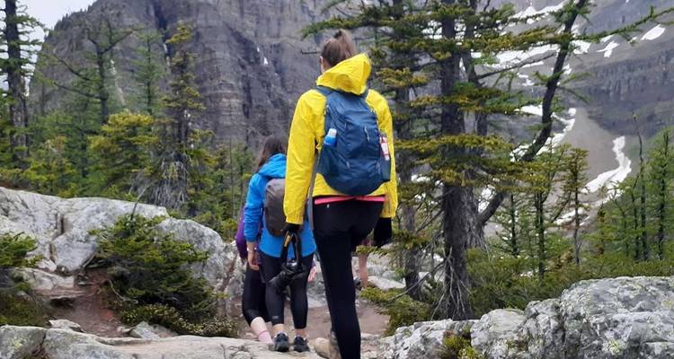 Grupo de excursionistas caminando por montañas boscosas.
